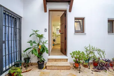 a hallway of a house with potted plants at Casa con encanto - Wifi, aire acondicionado in Puerto Real