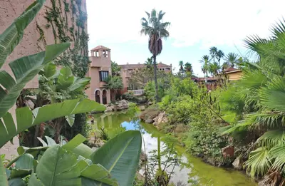 a river in a village with palm trees and buildings at Apartamento Dúplex Bahia Sur in San Fernando