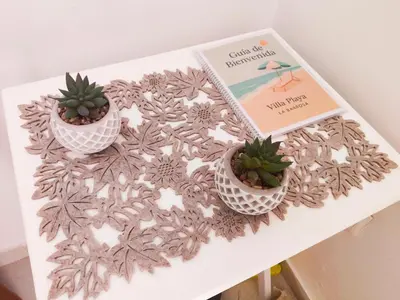 three potted plants on a table with a book at Villa Playa in Novo Sancti Petri