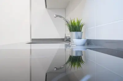 a bathroom with a sink and a plant on a counter at Estudio Viñamar Cádiz in Cádiz