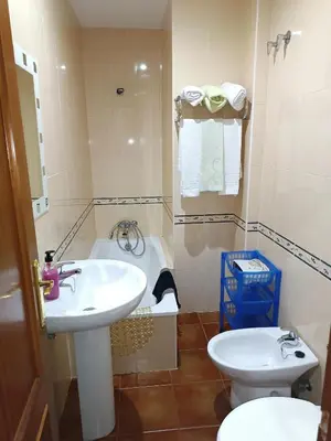 a bathroom with a sink and a toilet at Apartamento Al Sur del Sur in Sanlúcar de Barrameda