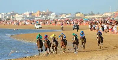 a group of horses racing on the beach at Apartamento Al Sur del Sur in Sanlúcar de Barrameda
