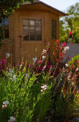 a garden with flowers in front of a house at Exotic Beachfront Retreat Handcrafted Bohemian Luxury in Cádiz