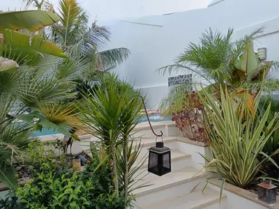 a room filled with lots of plants and a lantern at Oasis de Bornos Maison Entière in Bornos
