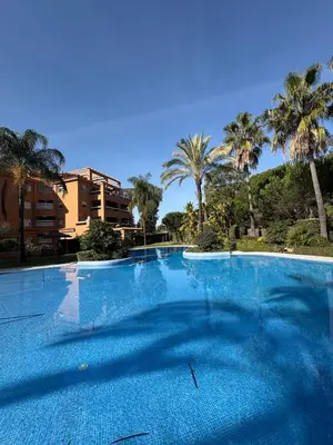a large blue swimming pool with palm trees in the background at apartamento rubí in El Puerto de Santa María