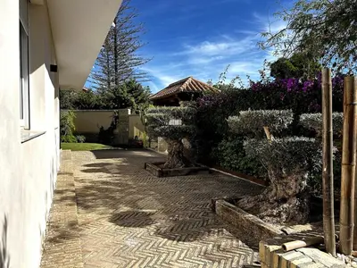 a walkway with bonsai trees and a house at Casa singular completamente reformada in El Puerto de Santa María