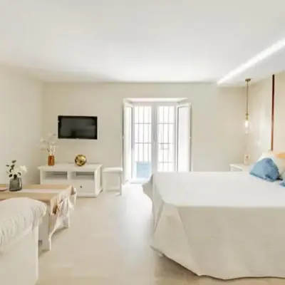 Loft Casa del Duque