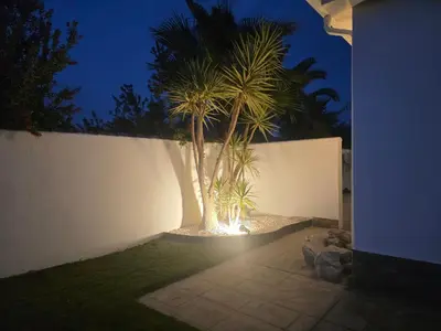 a palm tree in a garden at night at La caprichosa in Chiclana de la Frontera