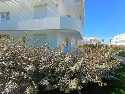 a tree in front of a white building at Rinconcito en el Paraíso Costa Ballena in Costa Ballena