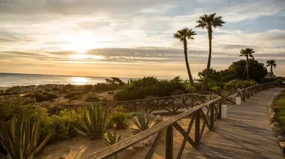 a wooden boardwalk leading to the beach with palm trees at Iberostar Waves Royal Andalus in Chiclana de la Frontera