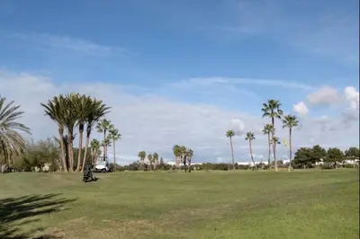 a person sitting in a field with palm trees at Paraíso del golf free parking by Staycare in Rota