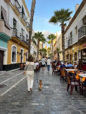 a woman walking a dog down a street at Cádiz, ciudad y playa in Cádiz