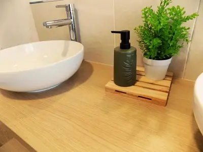 a bathroom with a sink and a bottle of soap and a plant at Plaza del Rey Apartments in San Fernando
