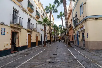 an empty city street with palm trees and buildings at El Ático de la Palma by Gades Gestión in Cádiz
