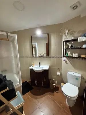 a bathroom with a toilet and a sink and a mirror at Casa Azacanes in Sanlúcar de Barrameda