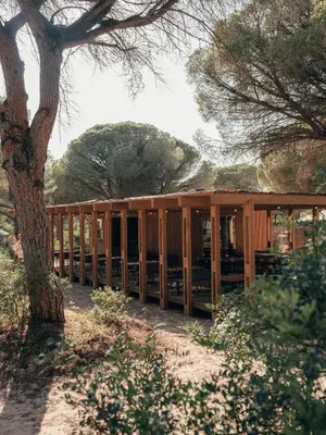 a wooden building with a tree in the foreground at wecamp Cádiz in Cádiz