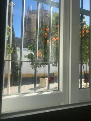 a window with a view of a tree at Casa Palacio en Casco Antiguo in El Puerto de Santa María