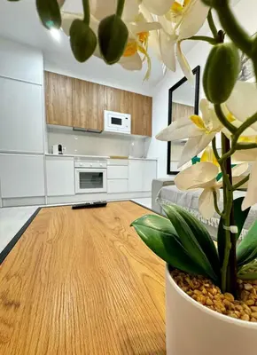 a living room with a wooden table and a plant at Apartamentos Muñoz Fornell 4 in Chiclana de la Frontera