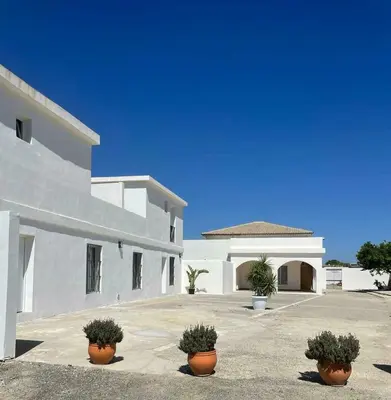 a white building with potted plants in front of it at Apartamentos Muñoz Fornell 4 in Chiclana de la Frontera