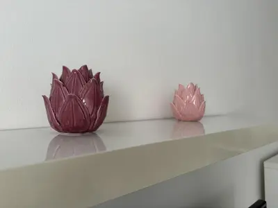 two pink succulents sitting on top of a shelf at Casa Luada in Sanlúcar de Barrameda