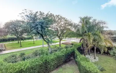 a view of a park with palm trees at 4 Bedroom Awesome Apartment In Chipiona in Chipiona