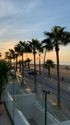 a view of a beach with palm trees and a street at Arenas de Doñana in Sanlúcar de Barrameda