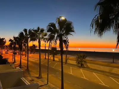 a view of a street with palm trees and a sunset at Arenas de Doñana in Sanlúcar de Barrameda