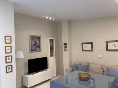 a living room with a couch and a television at Apartamento la Porvera in Jerez de la Frontera