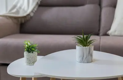 two white tables with potted plants on top of them at Catedral Moderno Centro in Jerez de la Frontera