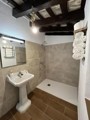 a bathroom with a white sink and a shower at El Encanto de Jerez in Jerez de la Frontera