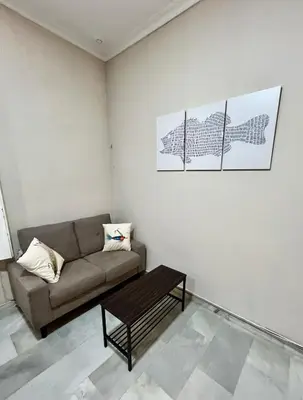 a living room with a couch and a coffee table at Villa María Cádiz centro, 