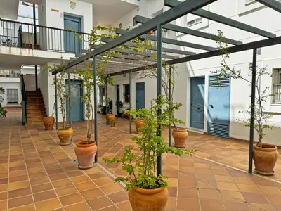 a row of potted plants on a courtyard at Apartamento Cielo in El Puerto de Santa María
