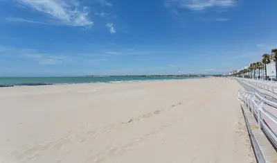 a sandy beach with palm trees and the ocean at Apartamentos Collado Playa Valdelagrana in El Puerto de Santa María