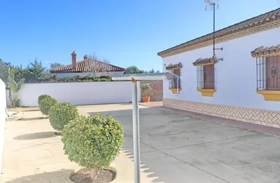 a plant in the courtyard of a house at Villa Ureba in Conil de la Frontera
