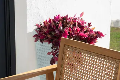 a vase of pink flowers sitting on top of a chair at Apartamento - Casa Trufa in Conil de la Frontera