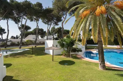 a resort with a palm tree and a swimming pool at Apartoyou - Vistahermosa vistas in El Puerto de Santa María