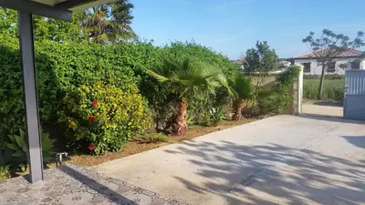 a driveway leading to a house with trees and bushes at LOFT Ajardinado en Roche CONIL in Conil de la Frontera