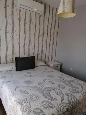 a bedroom with a bed with a pillow on it at Vivienda en Jerez de la Frontera in Jerez de la Frontera