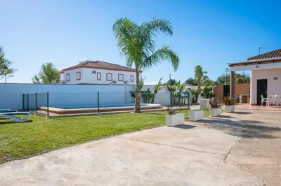 a yard with a fence and palm trees and a house at Casas Rurales Pericón in Conil de la Frontera