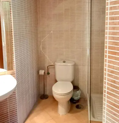 a bathroom with a toilet and a sink and a shower at El Ático de la Angelita by RentCadiz in El Puerto de Santa María