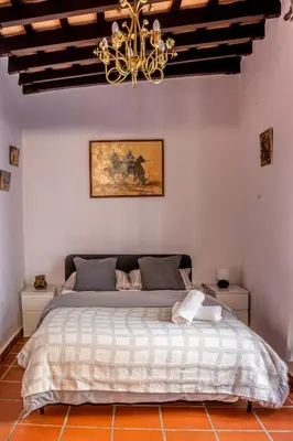 a bedroom with a large bed with a chandelier at La Posada de Zepeda in Jerez de la Frontera