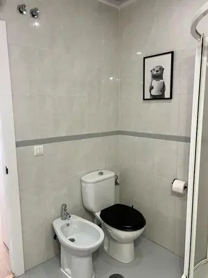 a bathroom with a toilet and a sink at Estudico moderno y cómodo a minutos andando del centro y de la Feria in El Puerto de Santa María
