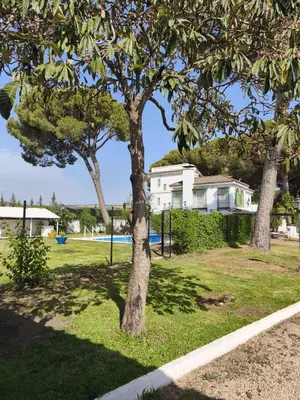 two trees in a yard with a house in the background at Casa rural Pinar de la Plata in Arcos de la Frontera
