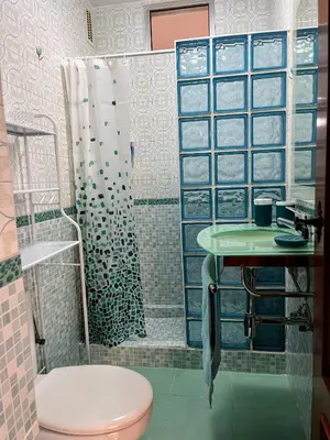 a bathroom with a shower and a toilet and a sink at El Piso in Sanlúcar de Barrameda