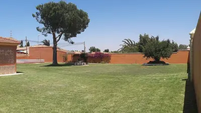 a green yard with a tree and a building at El Cotín Rural House in Novo Sancti Petri