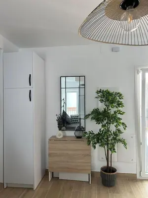 a room with a mirror and a dresser with a plant at Life Apartments Arcos 27 in Jerez de la Frontera