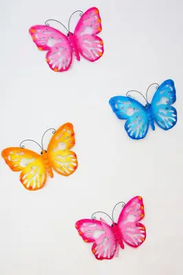 four colorful butterflies on a white background at Apartamento Cádiz Centro Histórico in Cádiz