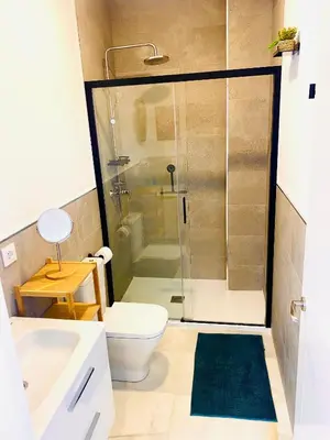 a bathroom with a shower and a toilet and a sink at SOL y LETIZIA in Jerez de la Frontera