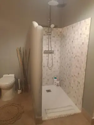 a bathroom with a shower with a toilet at Alojamiento Rosalía in Sanlúcar de Barrameda