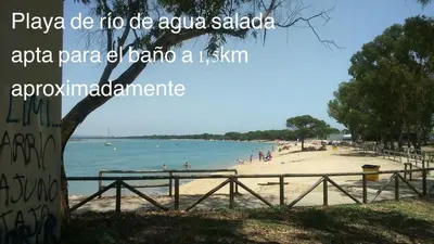 a beach with people in the water and a tree at Apartamento económico verano 3 DORMITORIOS in El Trocadero
